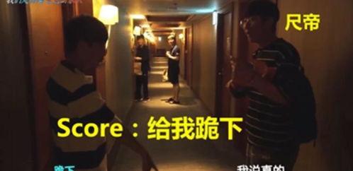 骚p视频,揭秘网络短视频的诱惑与风险