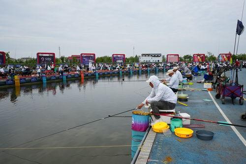 钓鱼大赛视频,高手对决，鱼儿跃动
