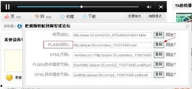 56网制作视频,热门视频幕后制作全过程
